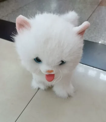 White Dog Plush Toy Soft amp Cuddly for Kids - kids toy Canada | Happy Hut Toys